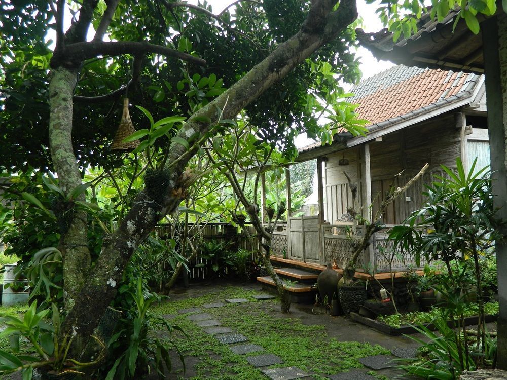D'Tegale Homestay Cepaka Экстерьер фото