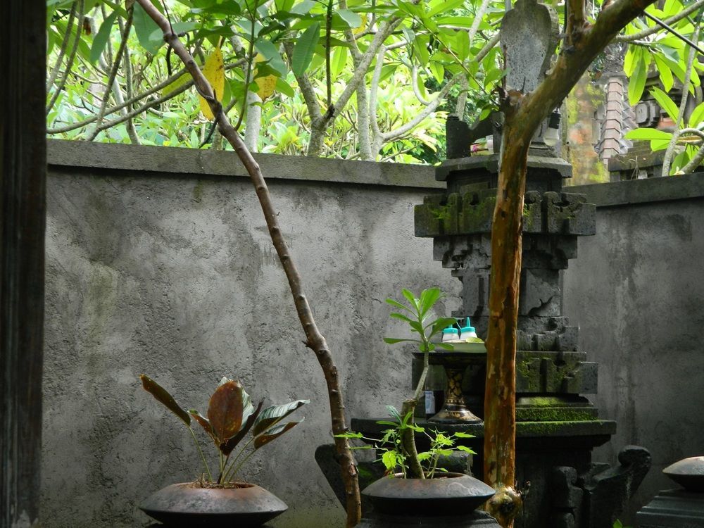 D'Tegale Homestay Cepaka Экстерьер фото
