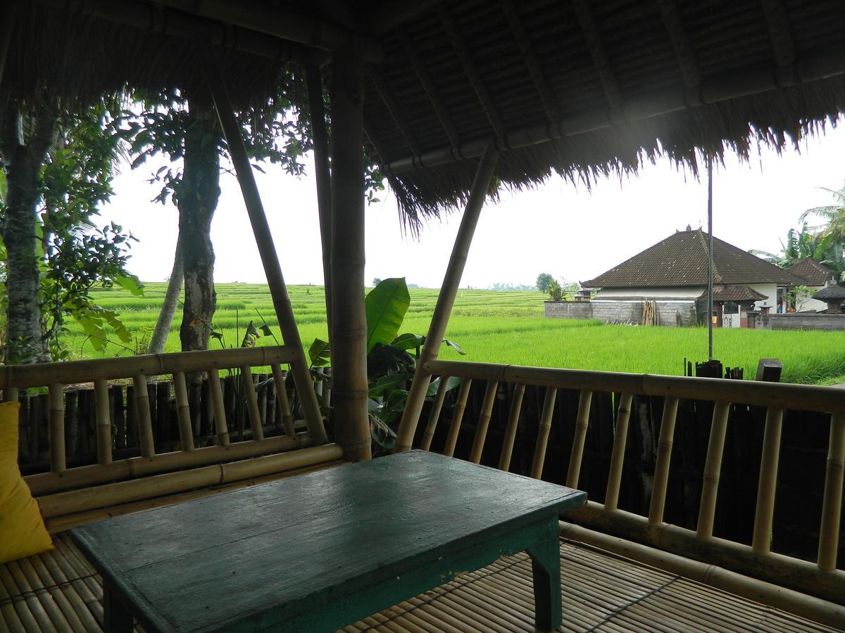 D'Tegale Homestay Cepaka Экстерьер фото