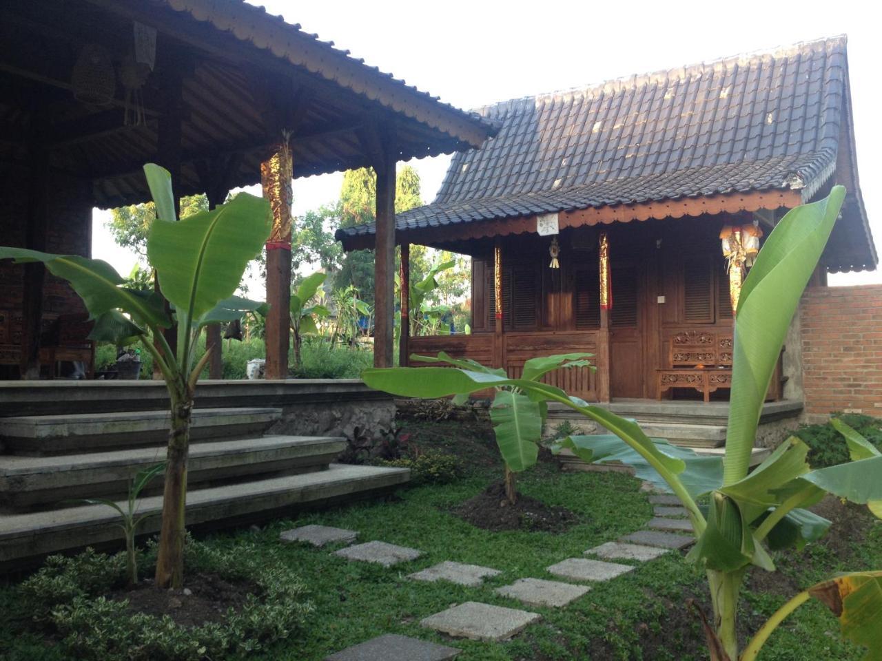 D'Tegale Homestay Cepaka Экстерьер фото